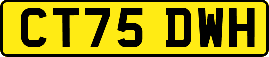 CT75DWH