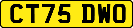 CT75DWO
