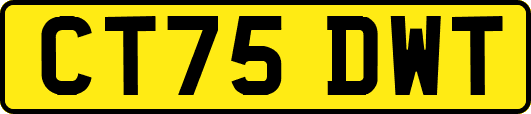 CT75DWT