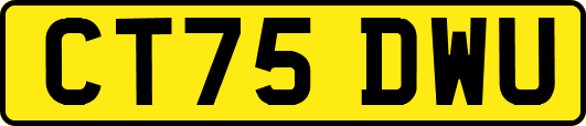 CT75DWU