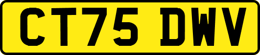 CT75DWV