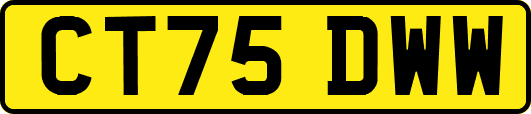 CT75DWW