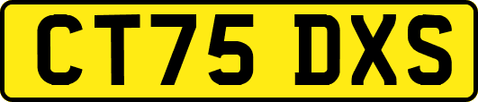 CT75DXS