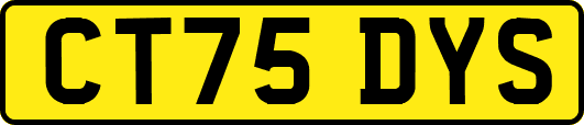 CT75DYS
