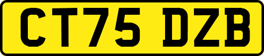 CT75DZB