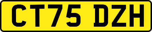 CT75DZH