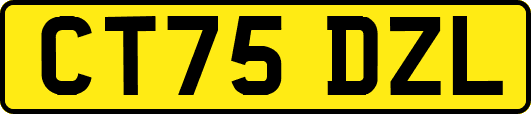 CT75DZL