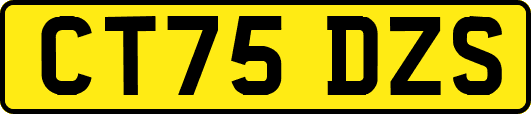 CT75DZS