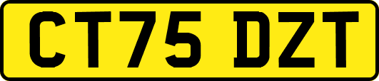CT75DZT