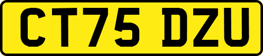 CT75DZU