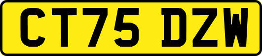 CT75DZW