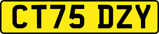 CT75DZY