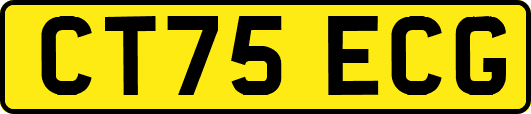 CT75ECG