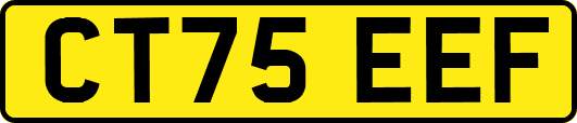 CT75EEF