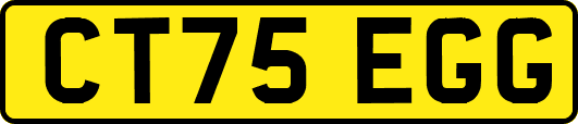 CT75EGG