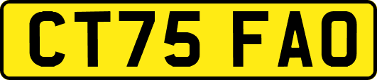 CT75FAO