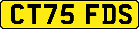 CT75FDS