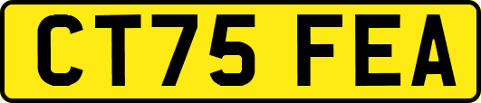 CT75FEA