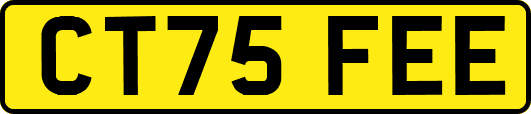 CT75FEE