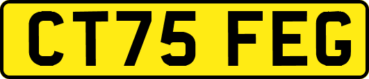 CT75FEG