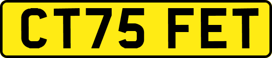 CT75FET