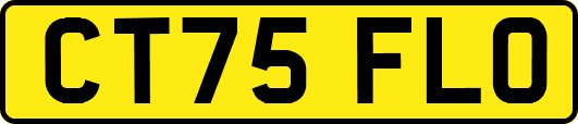 CT75FLO