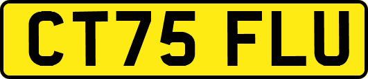 CT75FLU