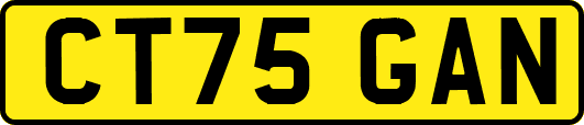 CT75GAN