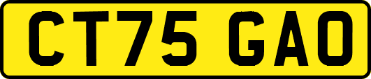 CT75GAO