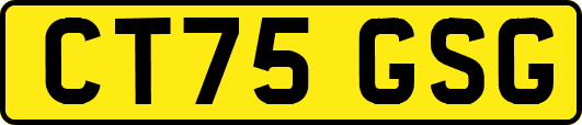 CT75GSG