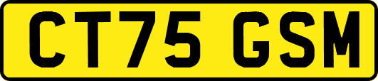 CT75GSM