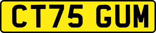 CT75GUM