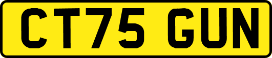 CT75GUN