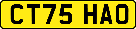 CT75HAO