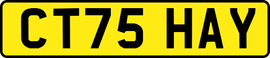 CT75HAY