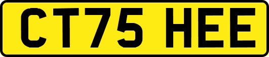 CT75HEE