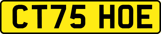 CT75HOE