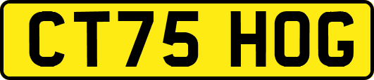 CT75HOG