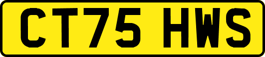 CT75HWS
