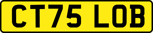 CT75LOB