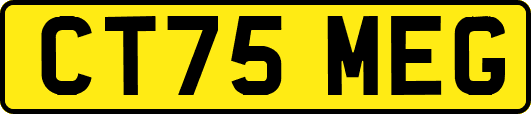 CT75MEG
