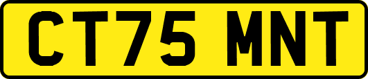 CT75MNT