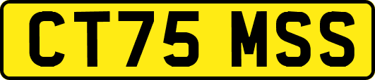 CT75MSS