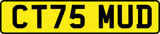 CT75MUD