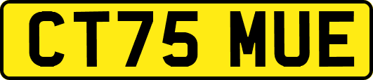 CT75MUE