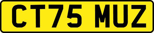 CT75MUZ