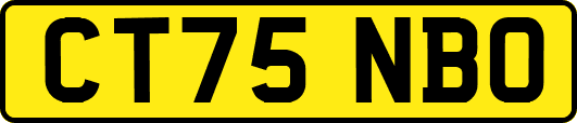 CT75NBO