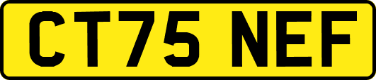 CT75NEF