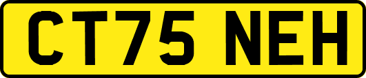 CT75NEH