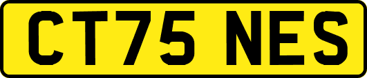 CT75NES